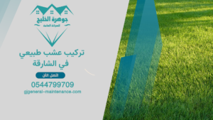 الرئييسية 2 17 تركيب عشب طبيعي في الشارقة