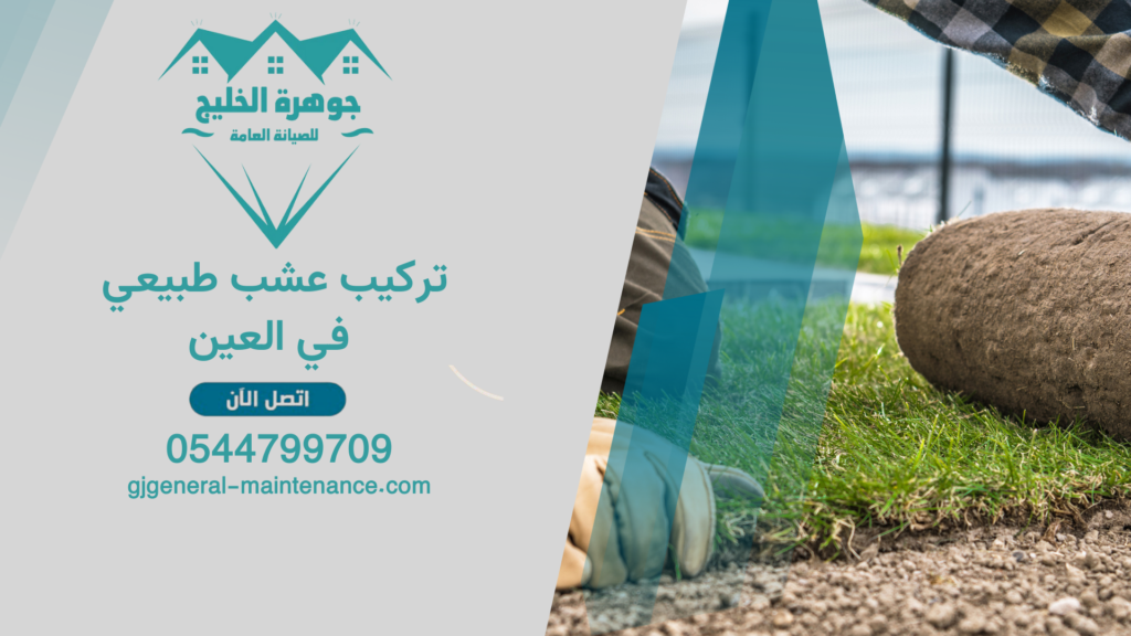 تركيب عشب طبيعي في العين