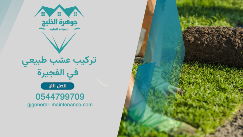 تركيب عشب طبيعي في الفجيرة