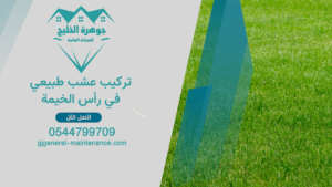 الرئييسية 2 18 تركيب عشب طبيعي في رأس الخيمة