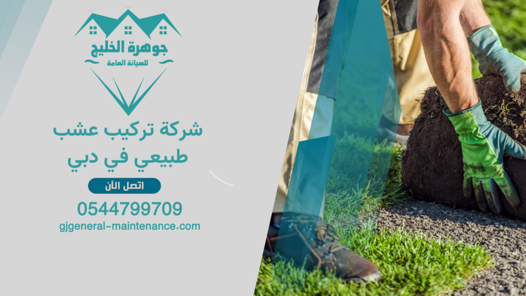 شركة تركيب عشب طبيعي في دبي