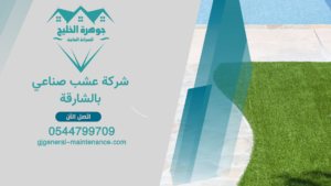 الرئييسية 2 13 شركة عشب صناعي بالشارقة 1