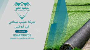 الرئييسية 2 10 شركة عشب صناعي في أبوظبي 1