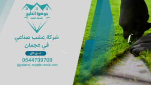 الرئييسية 2 14 شركة عشب صناعي في عجمان 1